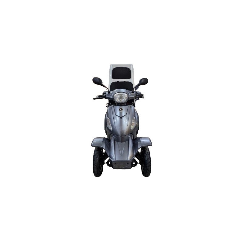 Futura Vita Care 4000 Li Cargo25kmh/1000W/30Ah GR Seniorenmobil