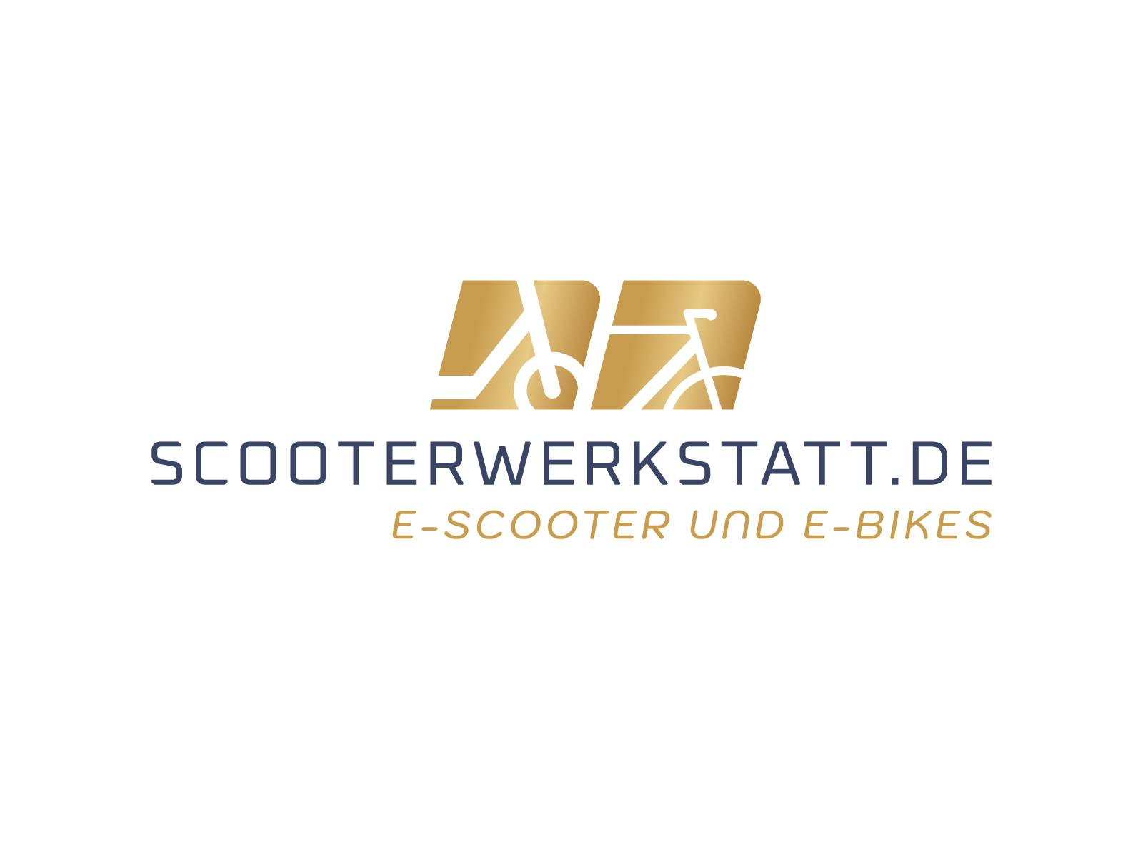 DERUIZ Peridot 2025 E-Bike BL 20" 36cm/500Wh/120kg 120km Klapprad