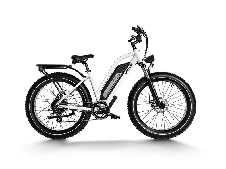 Himiway D3 Criuser E-Bike WS 26" 48V/840Wh/160kg 96km Allrounder